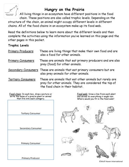 Prairie activity booklet for 2nd grade - Learn About Wolves Learn About ...