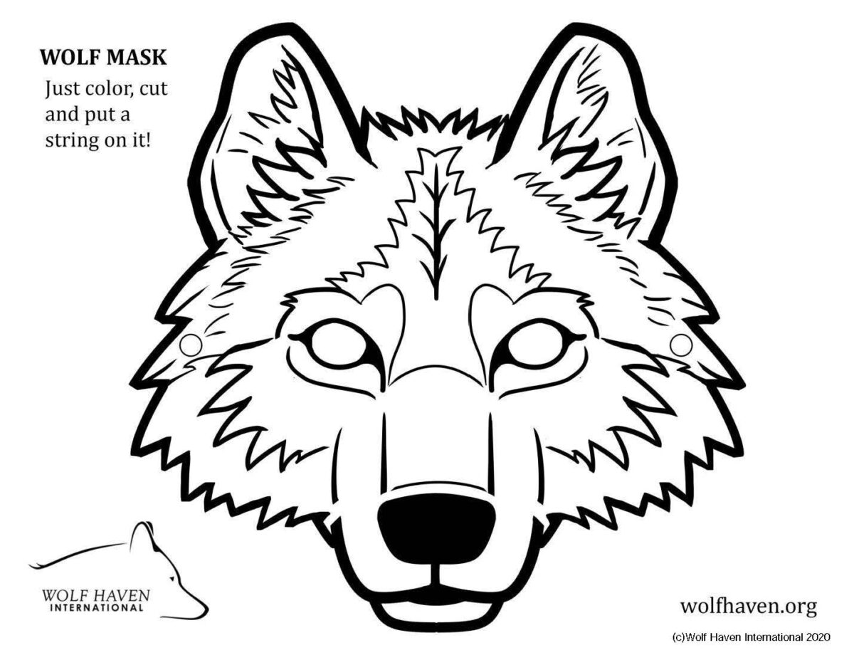 Wolf Activity Booklet For 2nd & 3rd Grade - Learn About Wolves Learn 