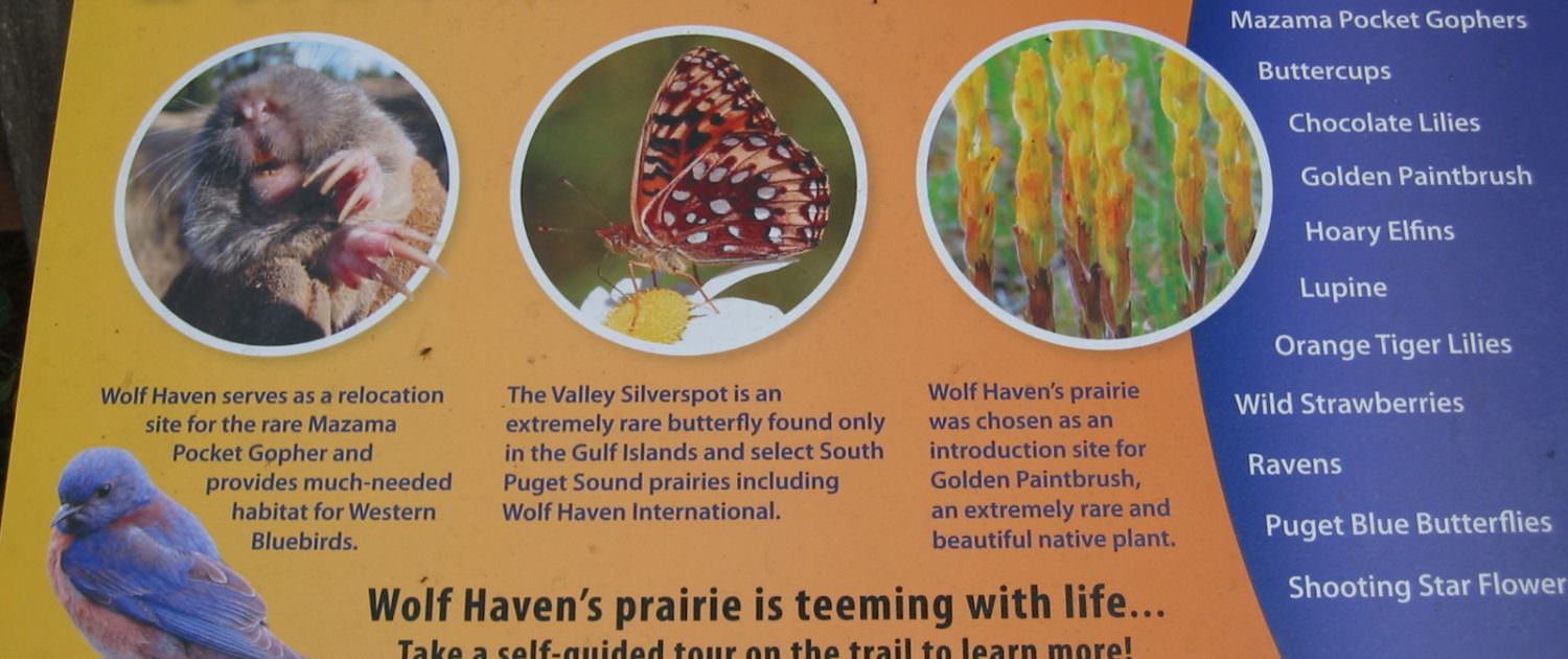 Wolf Haven prairie sign